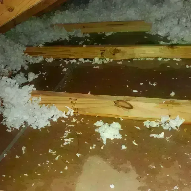 Attic Water Damage in Coal County, OK