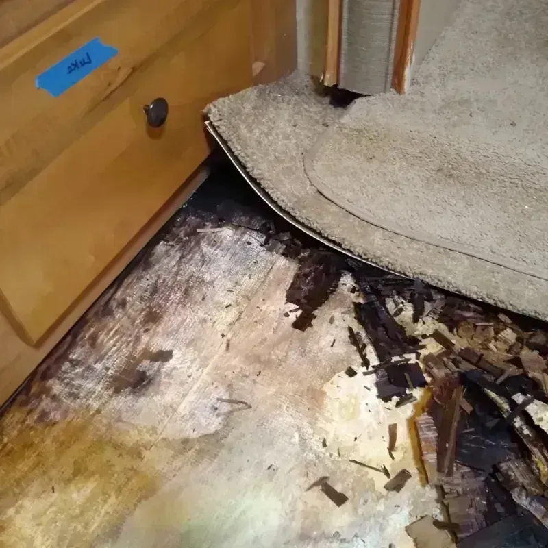 Wood Floor Water Damage in Coal County, OK